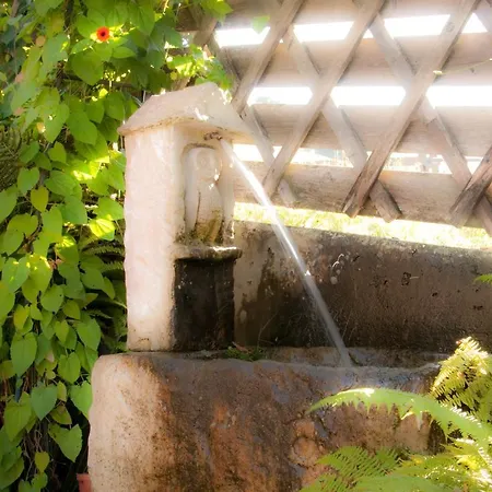 Haus Fritzenwallner 1 * Wagrain